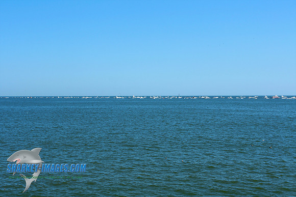 110817C 90 - Version 2