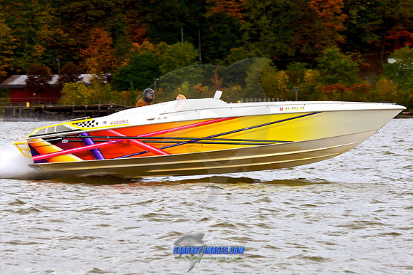 101009B 176 - Version 2.jpg
