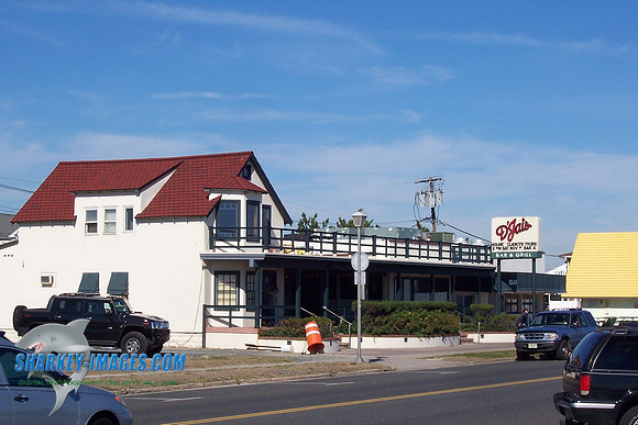 100_7376.JPG