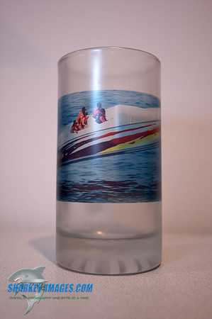 Frosted Stein Glass