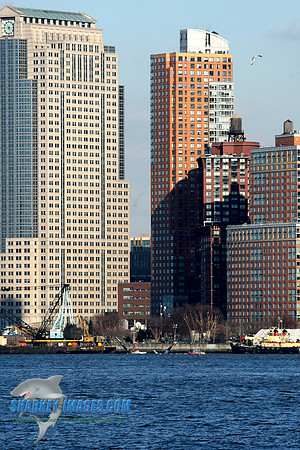 1162009 022C.JPG