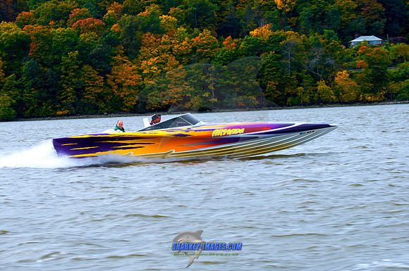 101009B 291 - Version 2.jpg