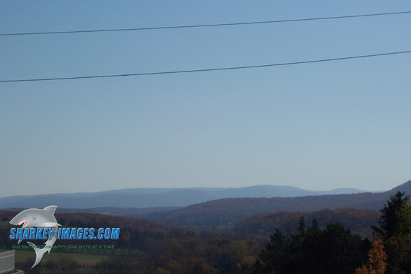110208_ 021.jpg