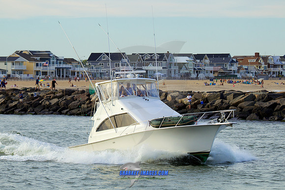 160902A 283