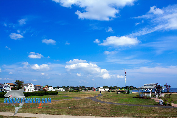 082309_ J 12 - Version 2.jpg