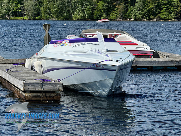 IMG_3205
