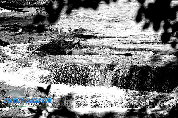 110813F 81 - Version 2