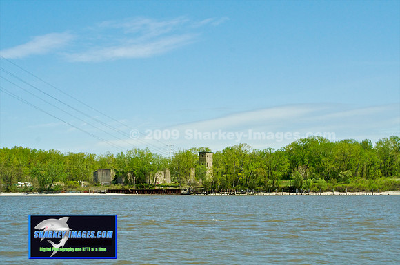 IMG_8978 - Version 2.jpg