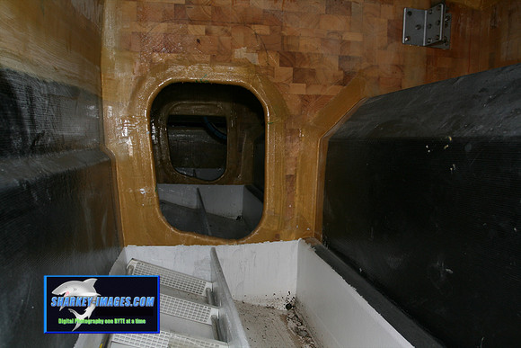 080109_T 39.jpg