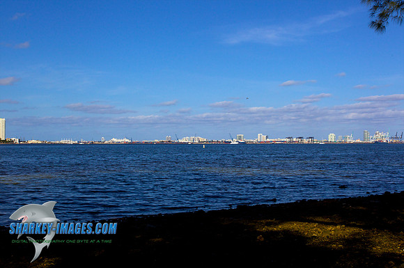 120221 293 - Version 2