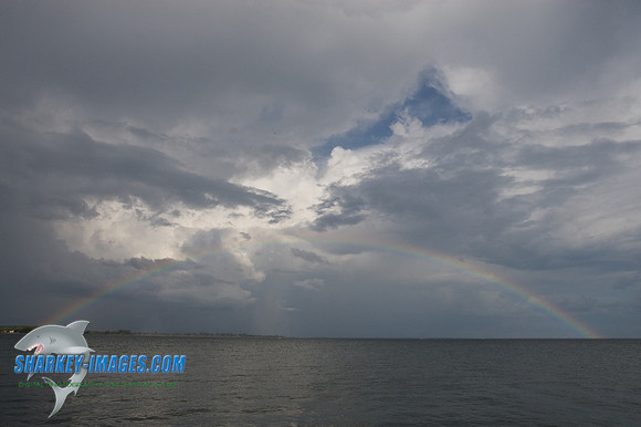 072609_A 8.jpg