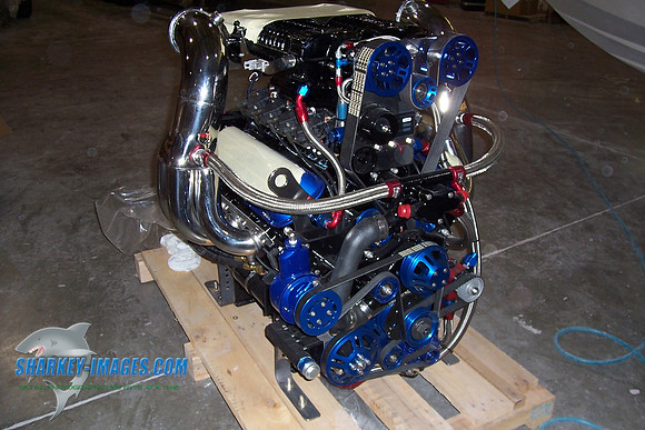OL 022.jpg