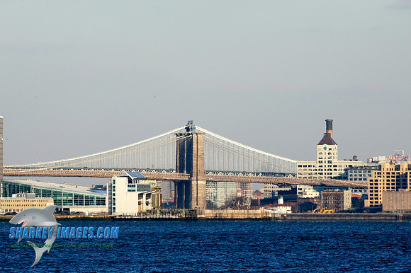 1162009 066C.JPG