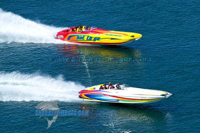 110813B 44 - Version 2