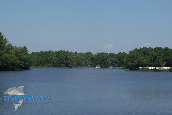 071508_ 009.jpg