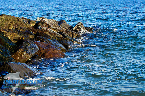 011410 5 - Version 2.jpg