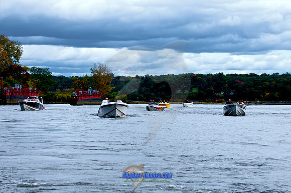 101009B 344 - Version 2.jpg