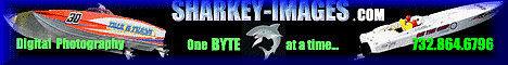 sharkey-images.com_468.gif