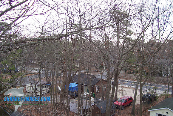 3_07 009.jpg