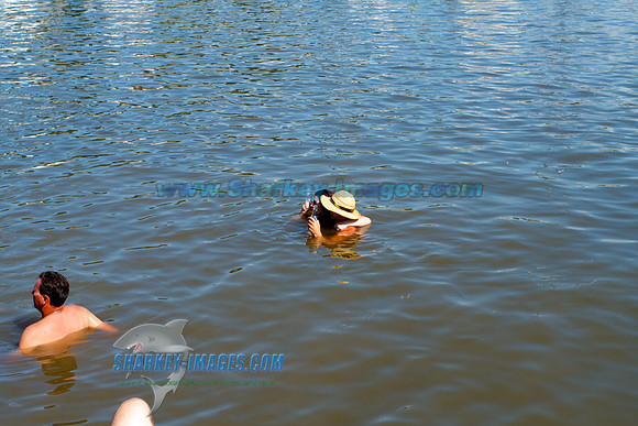 120818A 61