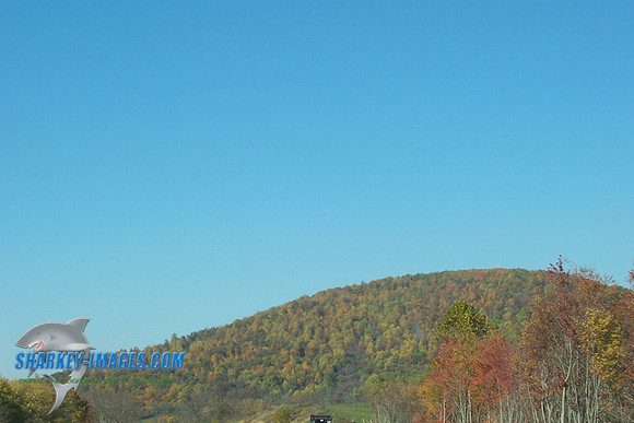 110208_ 004.jpg