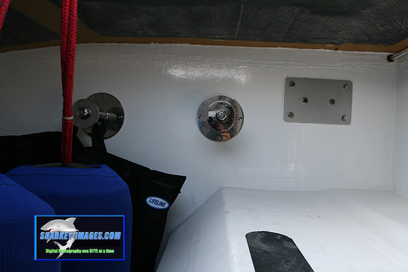 080109_T 43.jpg