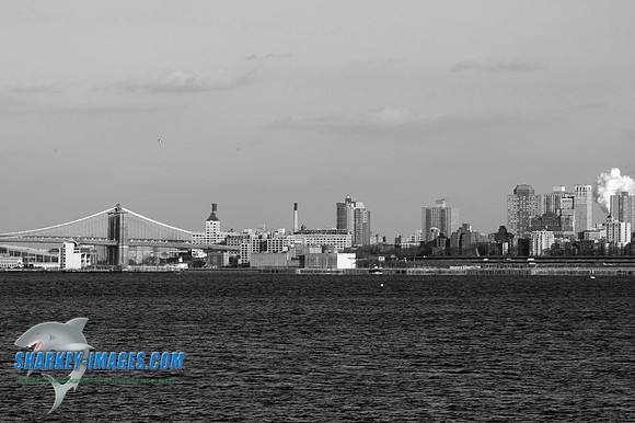 1162009 067C_BW.JPG