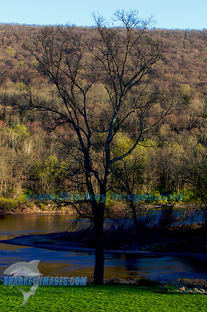 120407 56 - Version 2