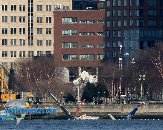 1162009 008C 810.jpg