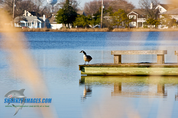 031710_C 1 - Version 2