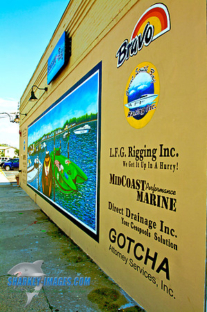 082309_ J 7 - Version 2.jpg