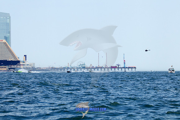160619A 515