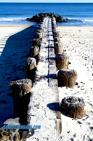 121109_ 16 - Version 2.jpg