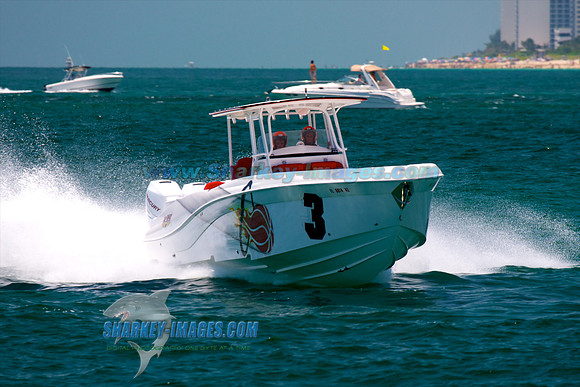061210_H 299 - Version 2