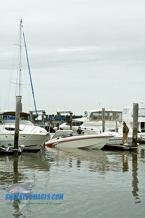 IMG_8898 - Version 2.jpg