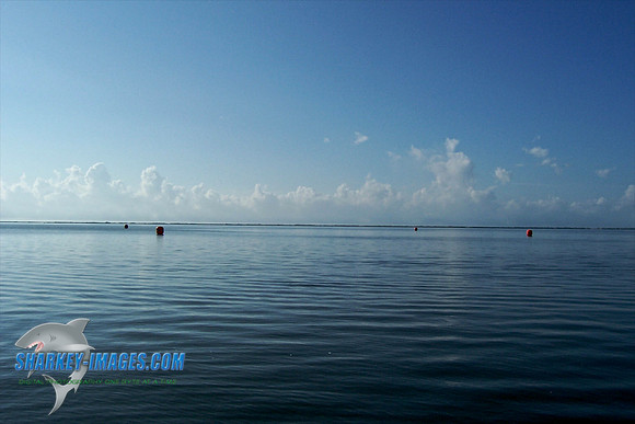 082209 60 - Version 2.jpg