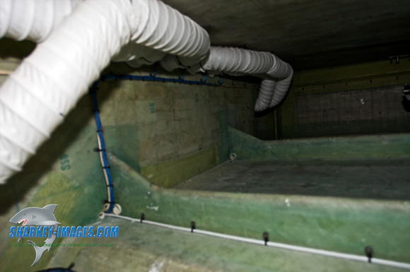 051609_SR 25 - Version 2.jpg