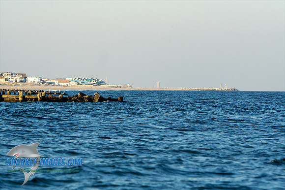 011410 8 - Version 2.jpg