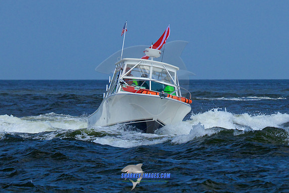 150710D 1227