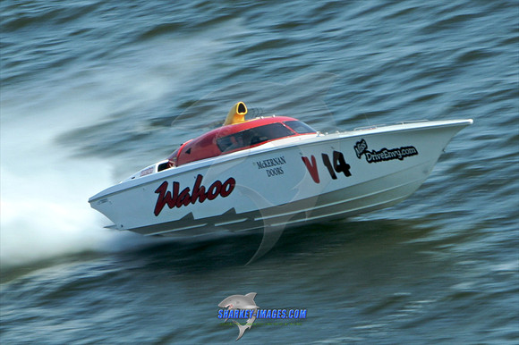 082309C 284 - Version 2.jpg