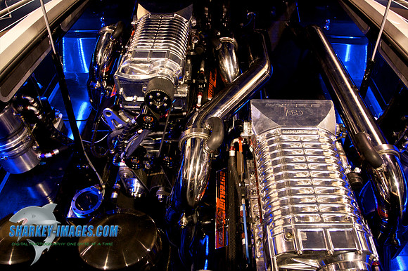 021210_ 389 - Version 2.jpg