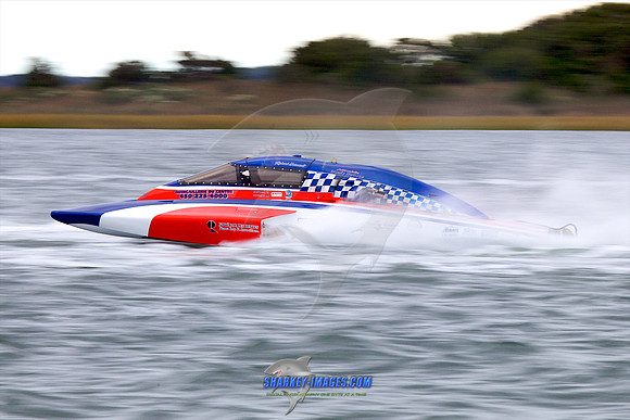 111002B 290 - Version 2