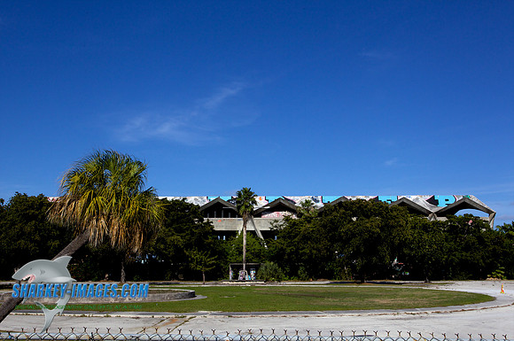 120221 286 - Version 2