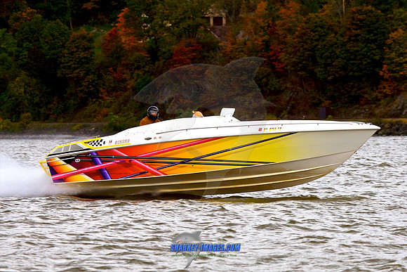 101009B 173 - Version 2.jpg