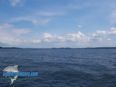 100_0270.JPG
