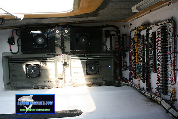 080109_T 41.jpg