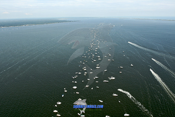 082309W 59 - Version 2.jpg