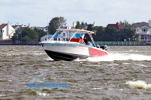 110918A 125 - Version 2