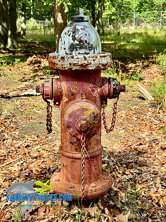 IMG_2723