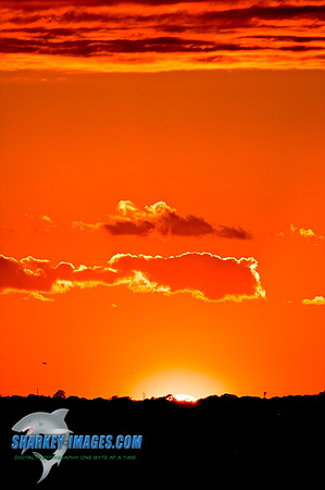 101001 208 - Version 2